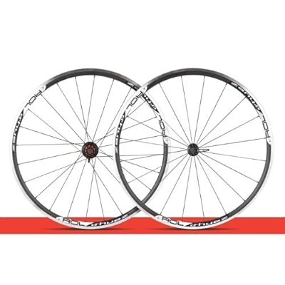 Campagnolo road bike discount wheels