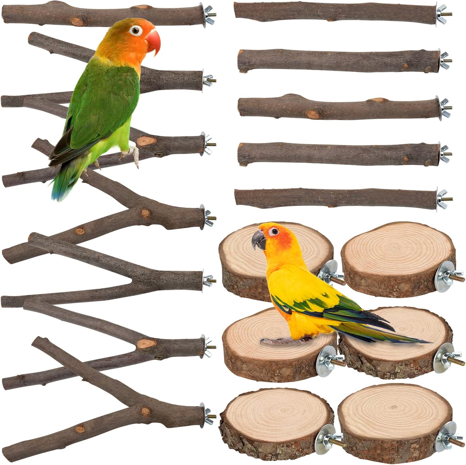 Perch stand for birds best sale