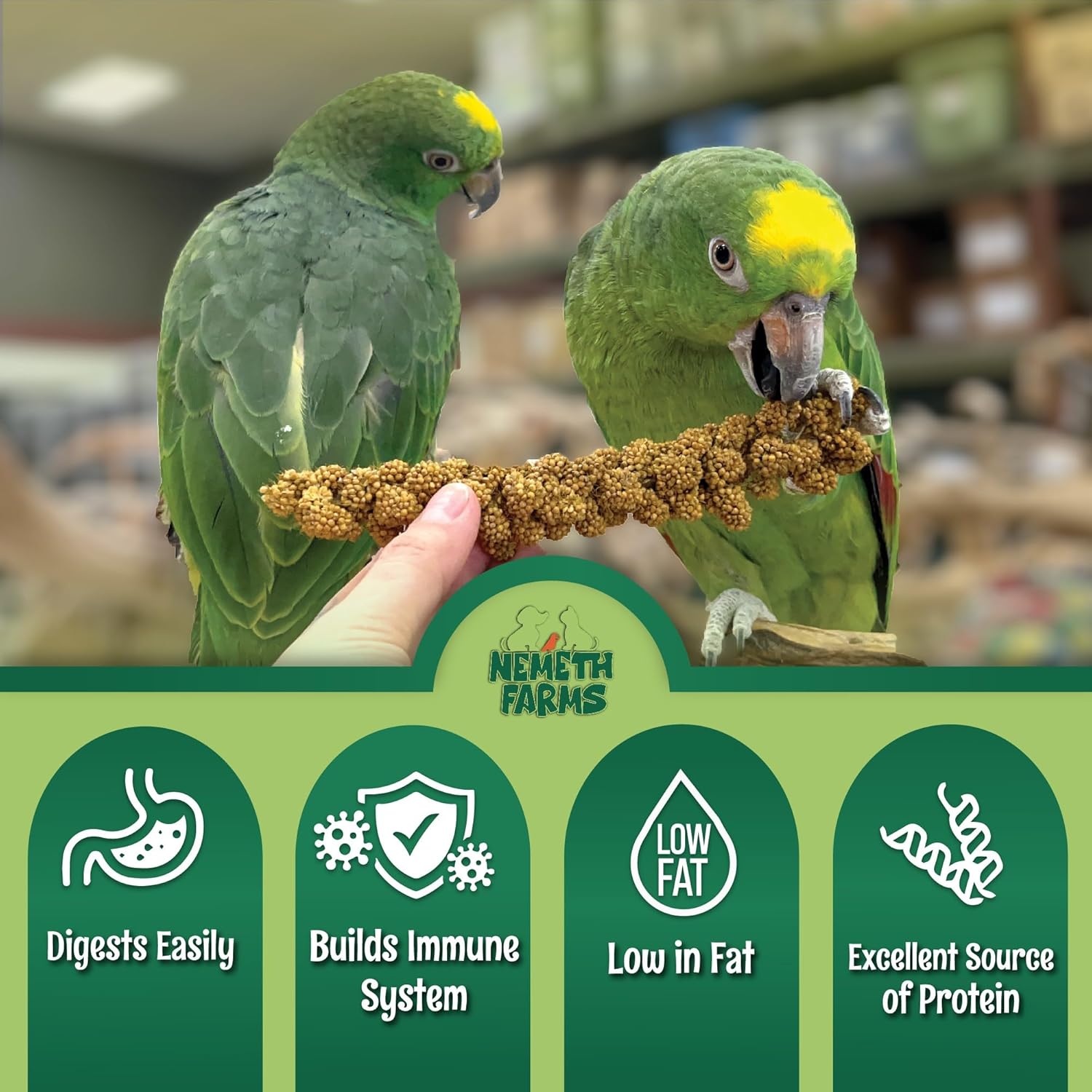 Bulk parrot food best sale